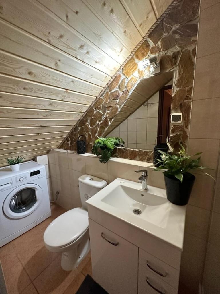 Domki Letniskowe Pod Brzozami Stella Polanczyk Bagian luar foto
