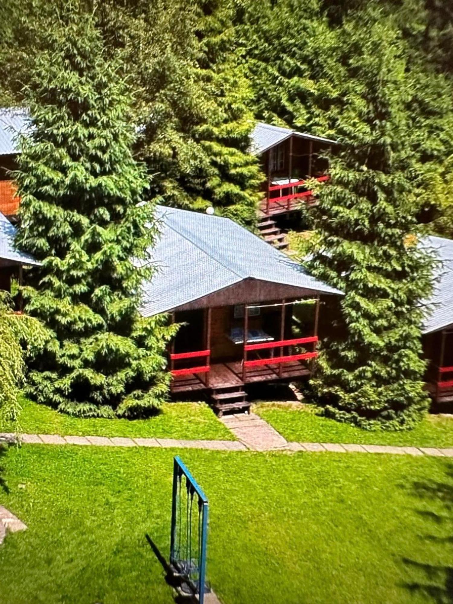 Domki Letniskowe Pod Brzozami Stella Polanczyk Bagian luar foto